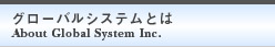 グローバルシステムとは